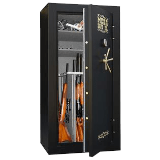 gun safe in Seattle